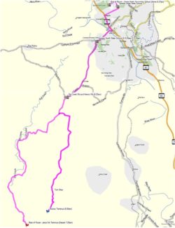 Route 768 – Langshaw Morning School Service